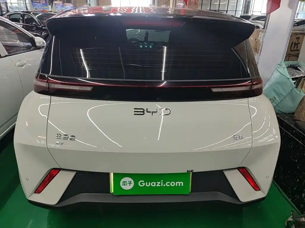 BYD Seagull 2024