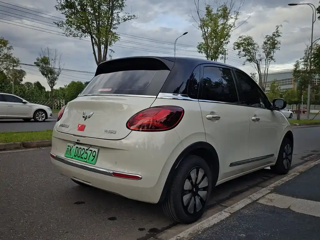Wuling Bingo 2024