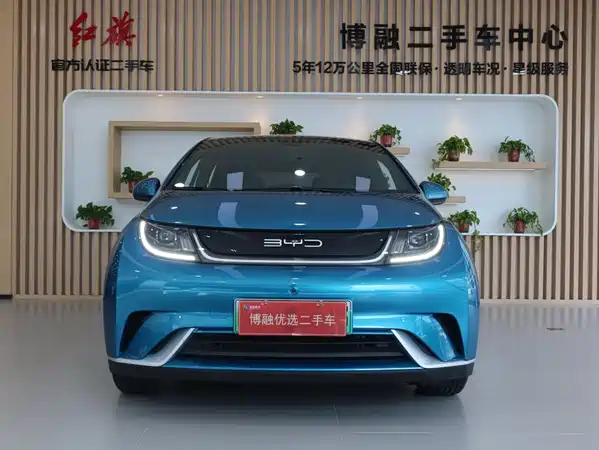 BYD Dolphin 2022