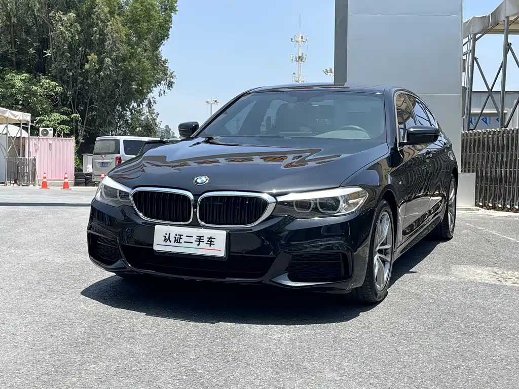 BMW 5 Series 2020 — фото 1