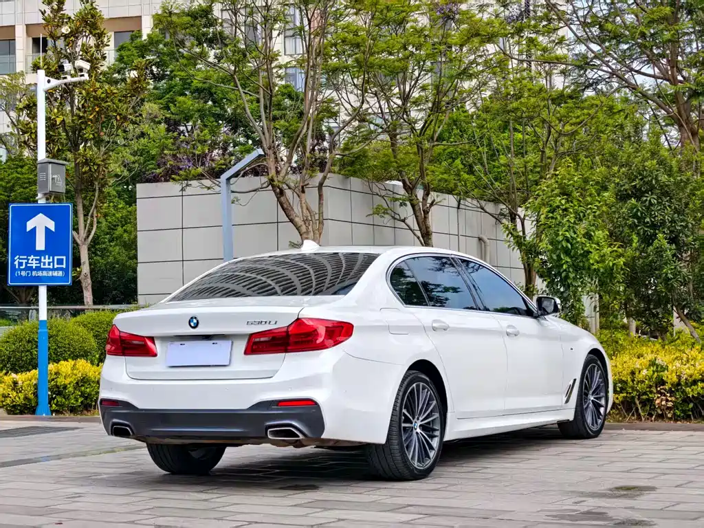 BMW 5 Series 2020 — фото 6