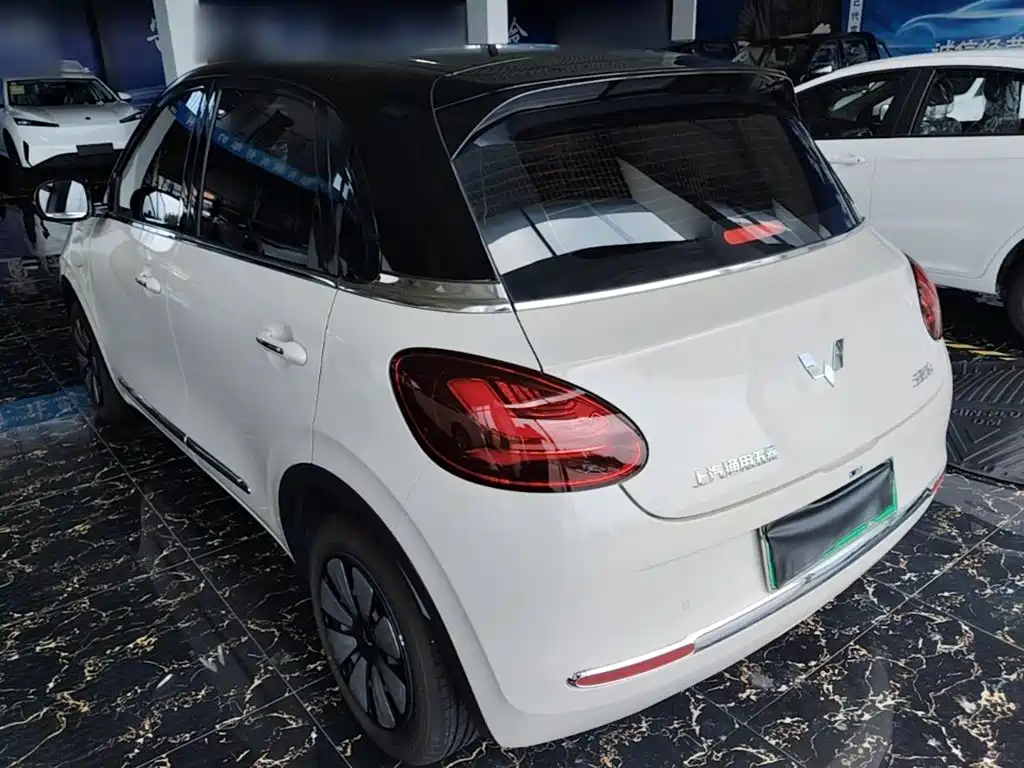 Wuling Bingo 2024