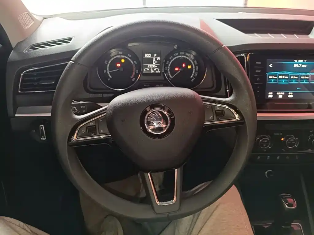 Skoda Kamiq 2020 — фото 11