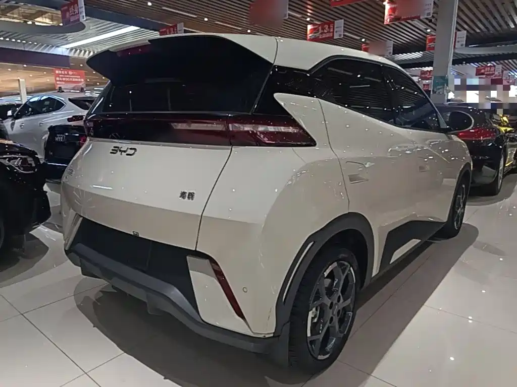 BYD Seagull 2024