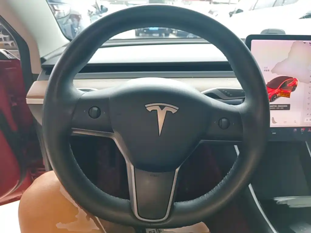 Tesla Model 3 2021 — фото 11