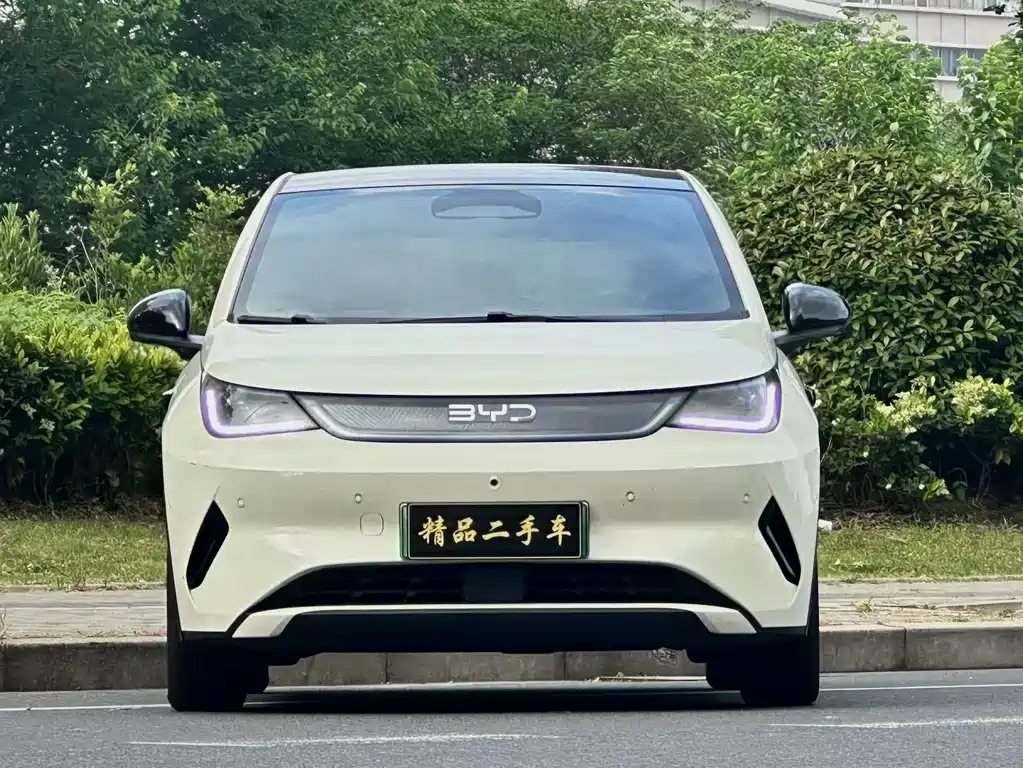 BYD Dolphin 2025