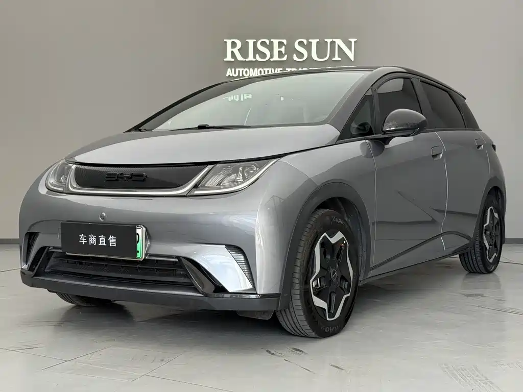BYD Dolphin 2022