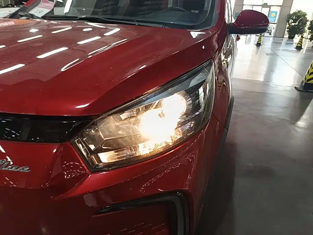 BAIC New Energy EC5 2019 — фото 24