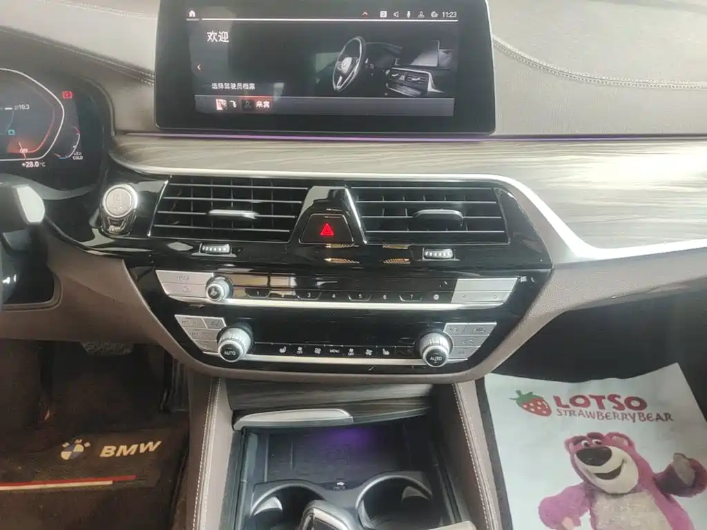 BMW 5 Series 2020 — фото 13