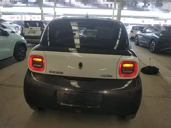 Ora Black Cat 2021