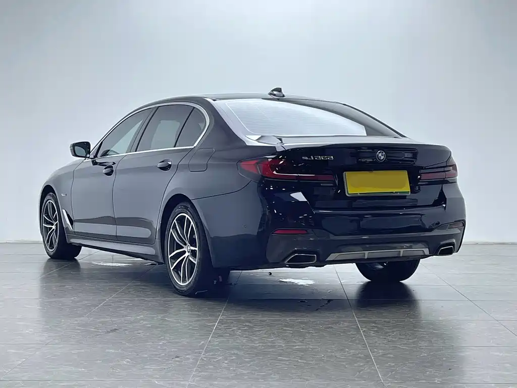 BMW 5 Series New Energy 2022