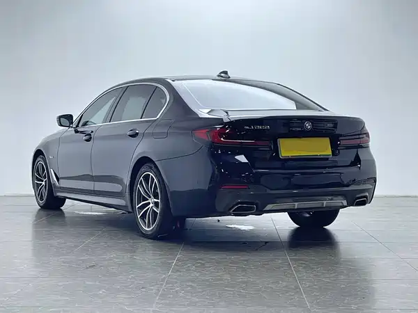 BMW 5 Series New Energy 2022