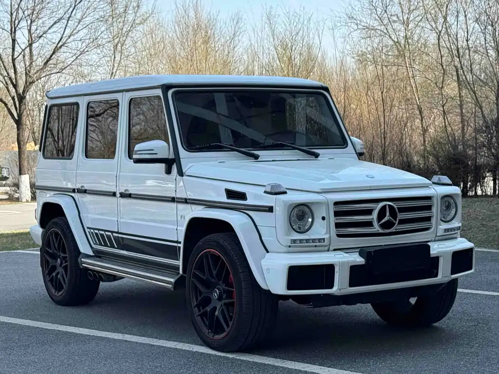 Mercedes-Benz G-Class 2017 — фото 2