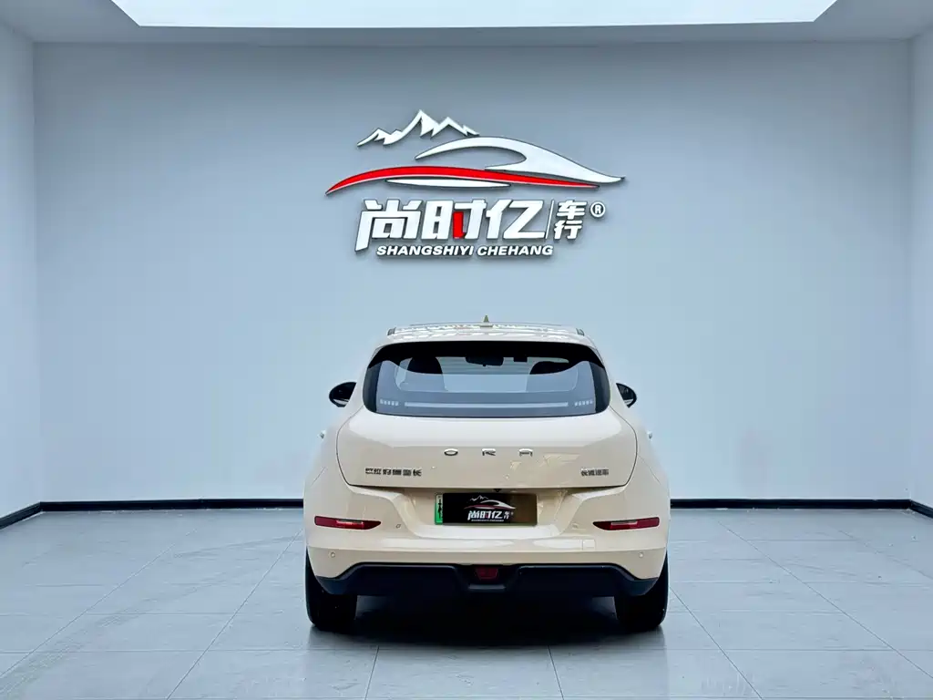 Ora Good Cat 2022