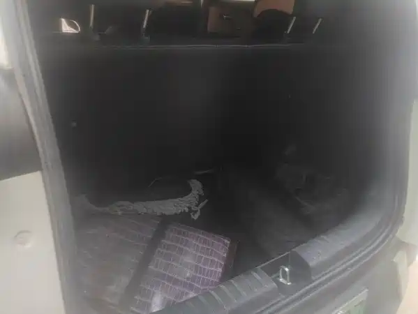 BYD Seagull 2024