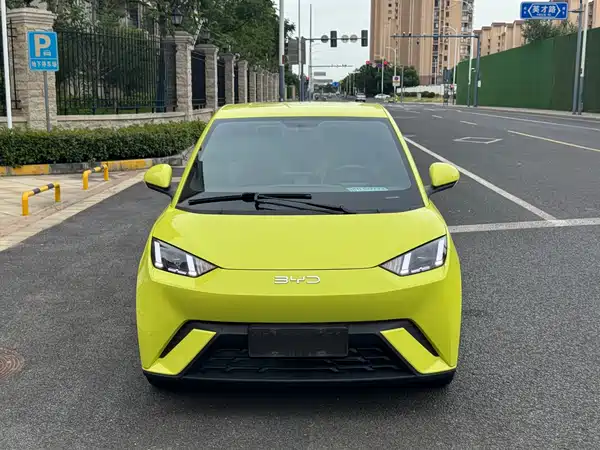 BYD Seagull 2024