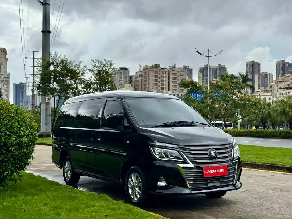 Dongfeng Lingzhi 2024