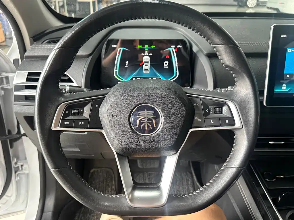 BYD Qin Pro New Energy 2019 — фото 13