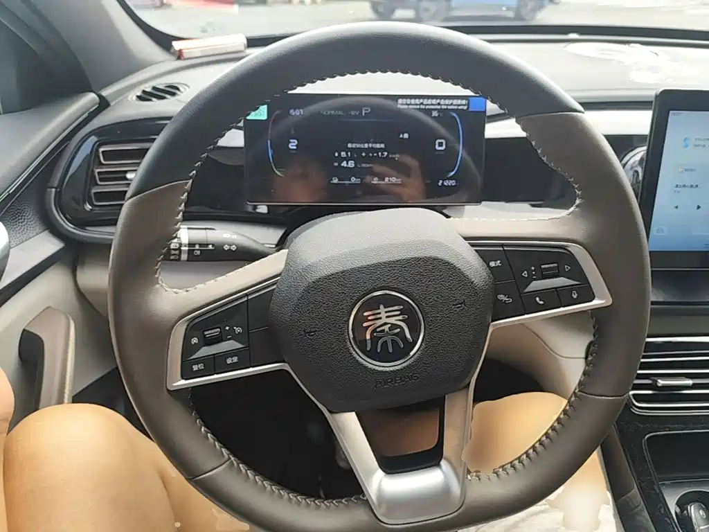 BYD Qin PLUS 2024 — фото 11