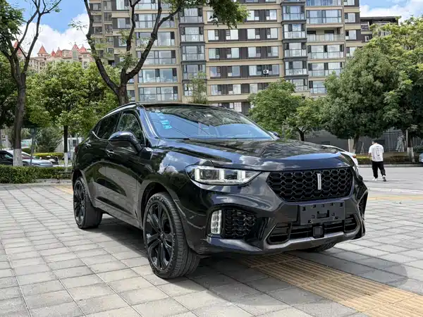 Wey VV5 2017