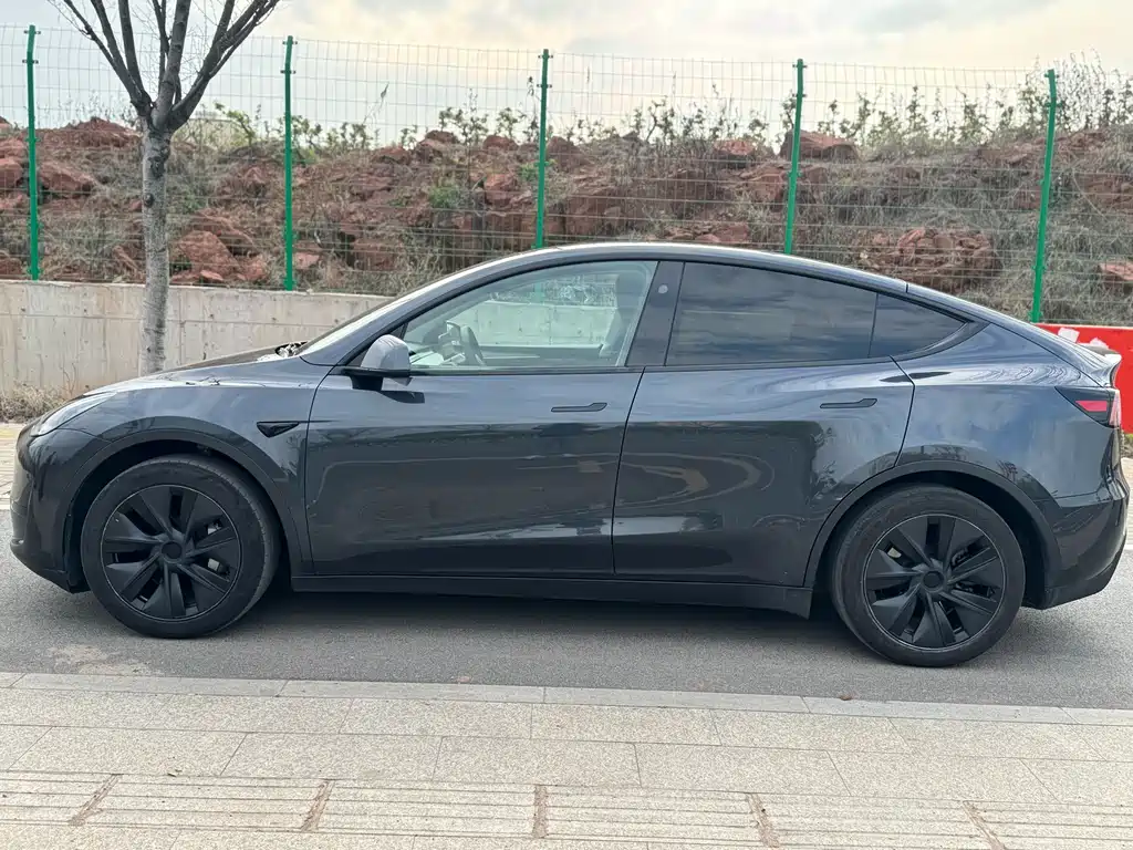 Tesla Model Y 2024 — фото 3