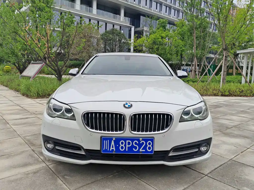 BMW 5 Series 2015