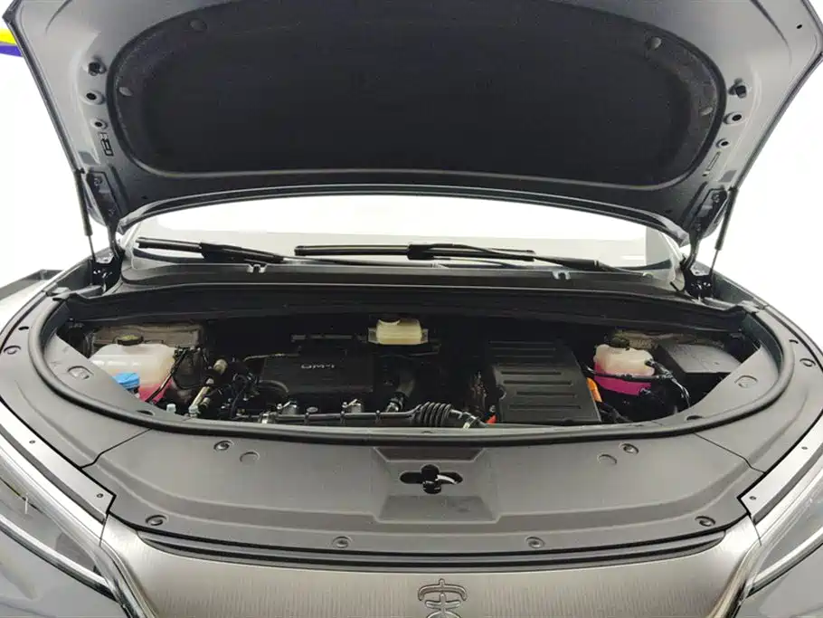 BYD L DM-i 2024 — фото 10