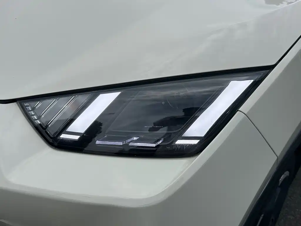 BYD Seagull 2024
