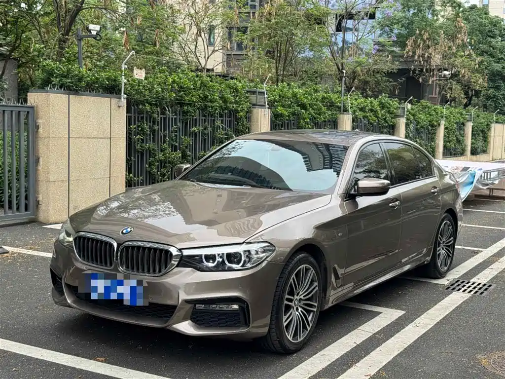 BMW 5 Series 2018 — фото 1