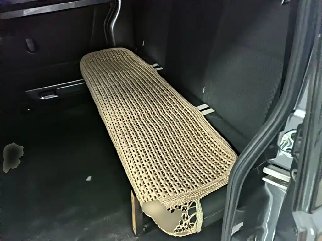 Jinbei Golden Sea Lion M Classic 2023 — фото 17