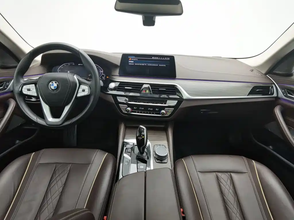 BMW 5 Series New Energy 2020