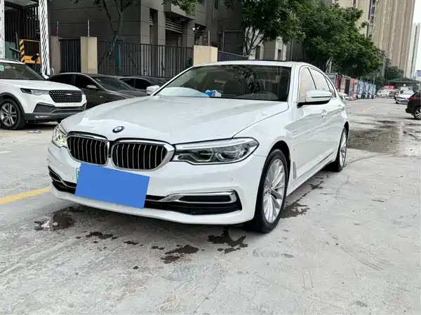 BMW 5 Series New Energy 2020