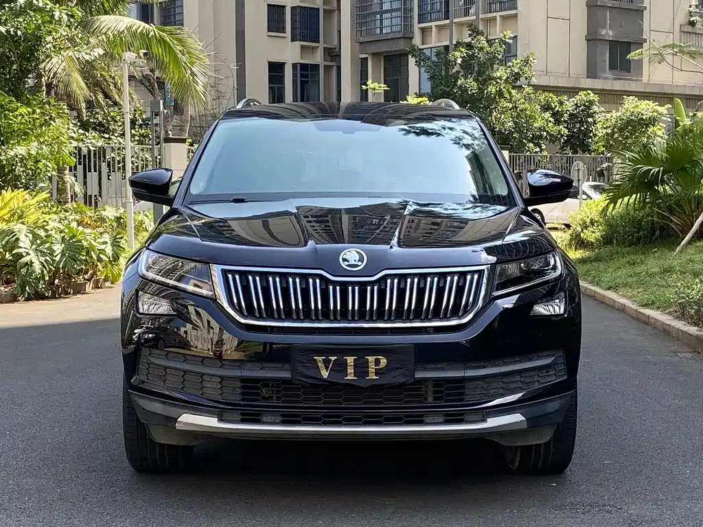 Skoda Kodiaq 2020 — фото 11