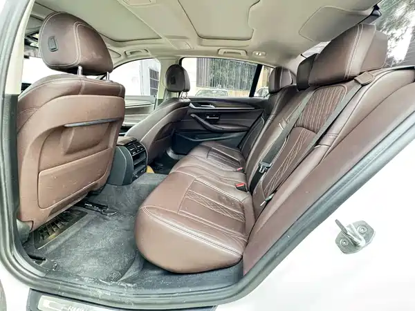 BMW 5 Series New Energy 2020