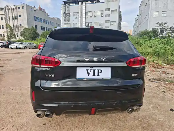 Wey VV6 2019