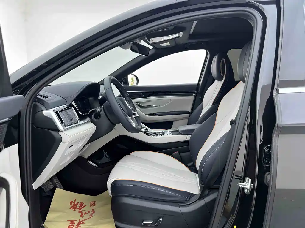 BYD PLUS New Energy 2023 — фото 8