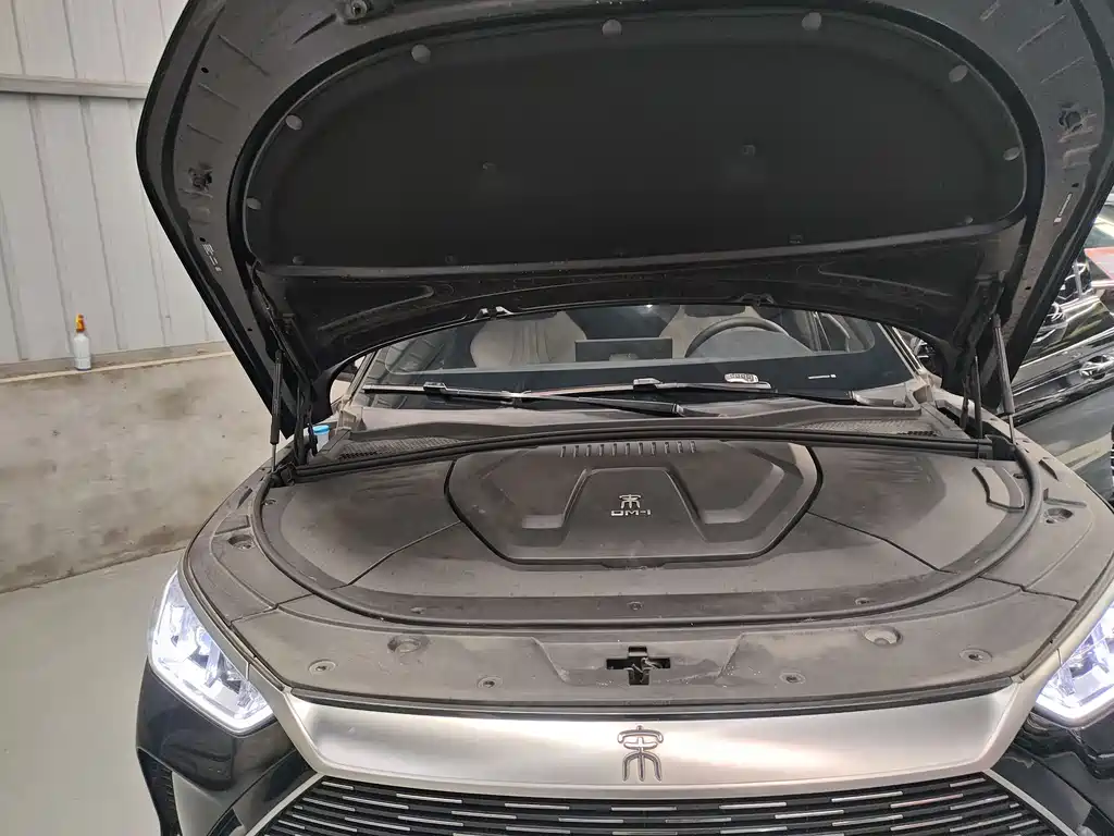 BYD PLUS New Energy 2023 — фото 23