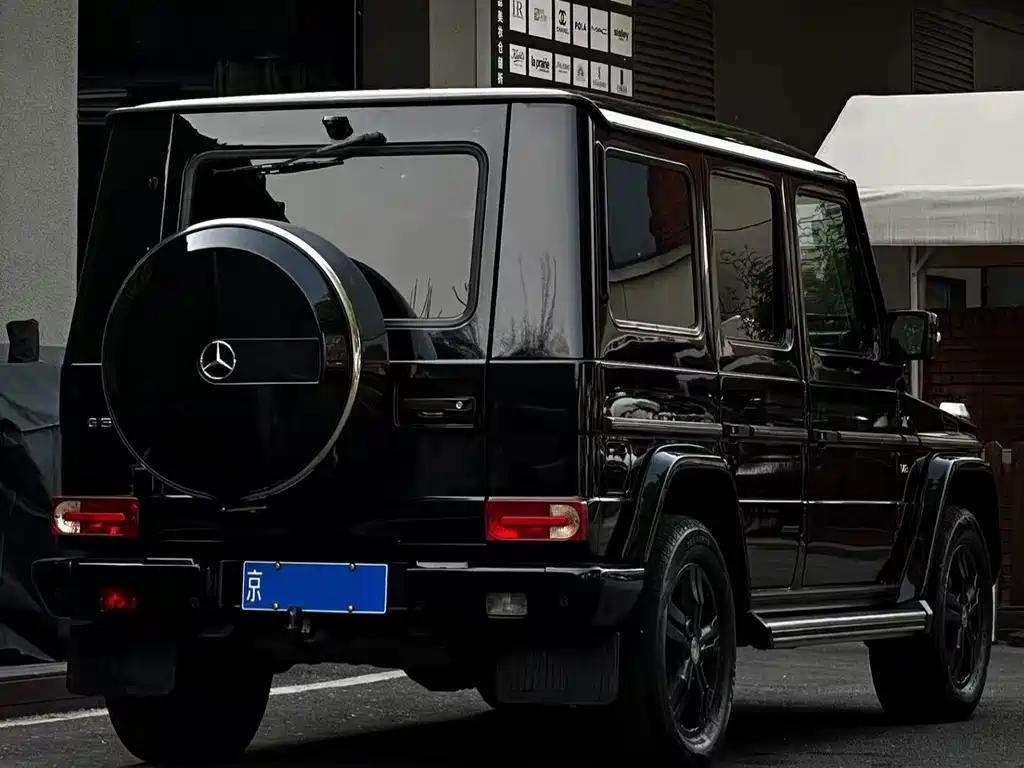 Mercedes-Benz G-Class 2010 — фото 10