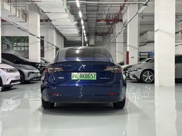 Tesla Model 3 2022