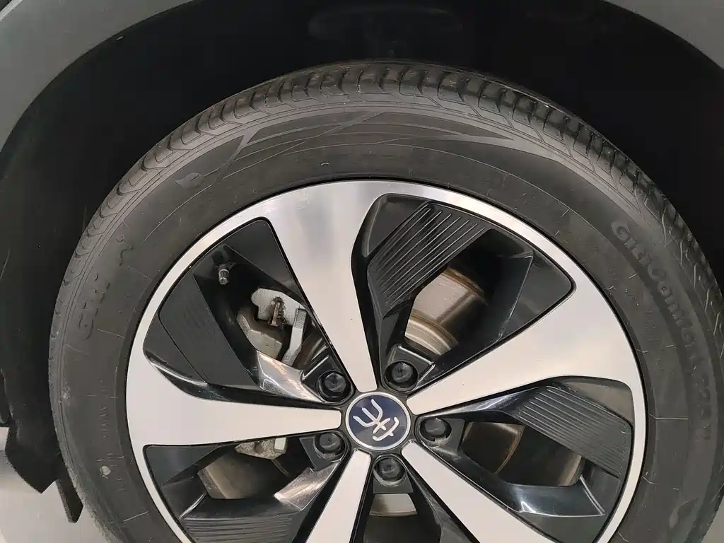 BYD PLUS New Energy 2023 — фото 10