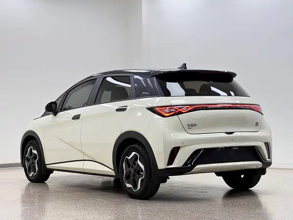 BYD Dolphin 2022
