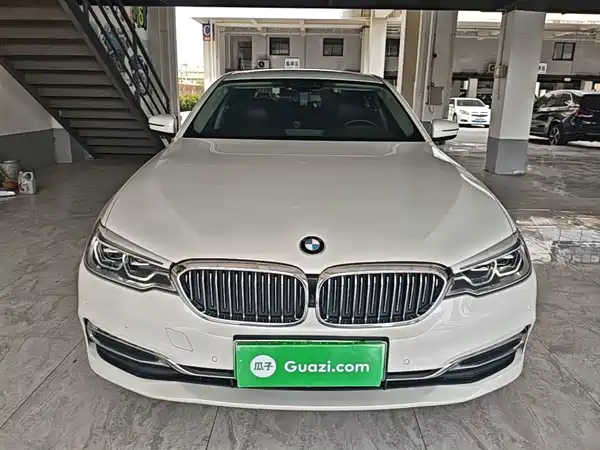 BMW 5 Series New Energy 2020