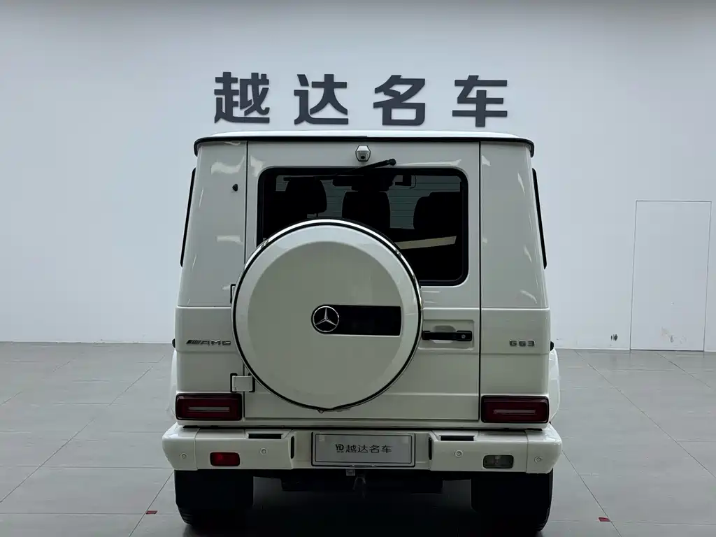 Mercedes-Benz G-Class 2017 — фото 20