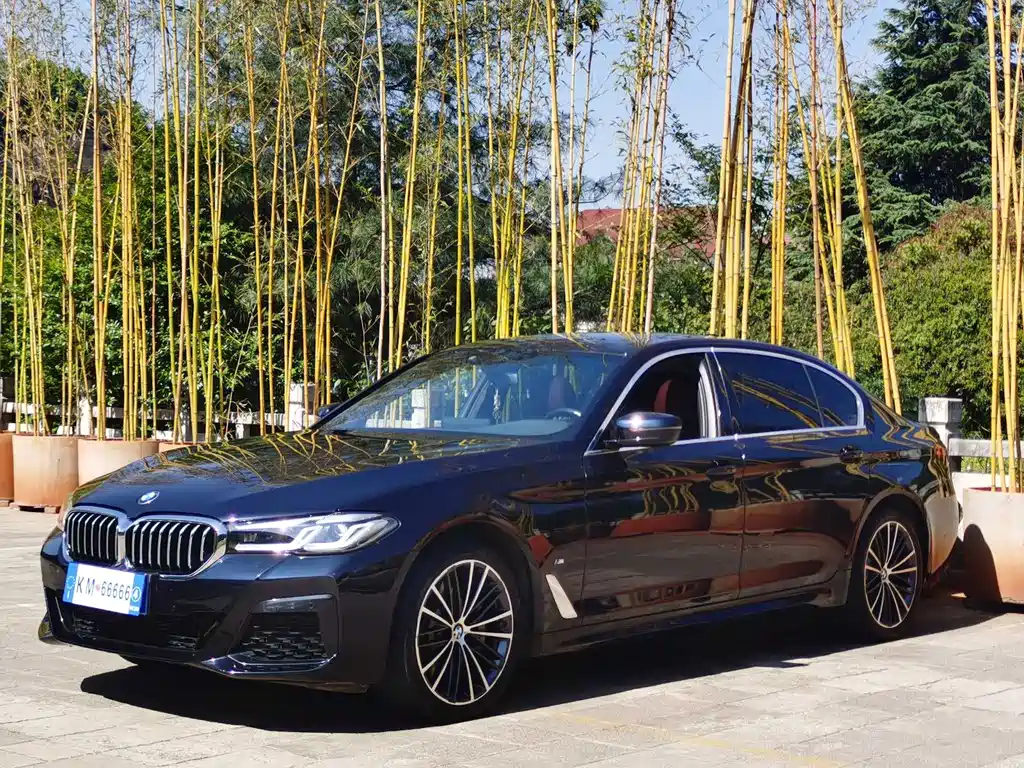 BMW 5 Series 2022