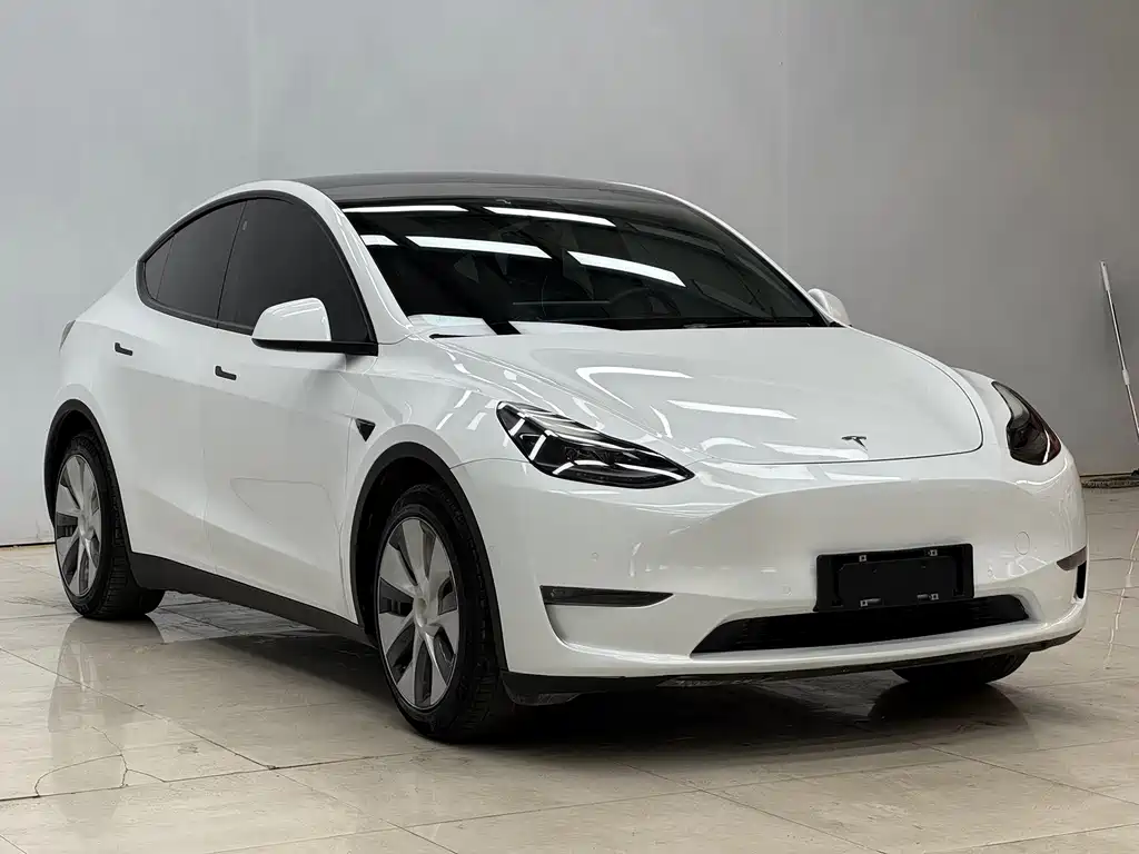 Tesla Model Y 2021 — фото 12