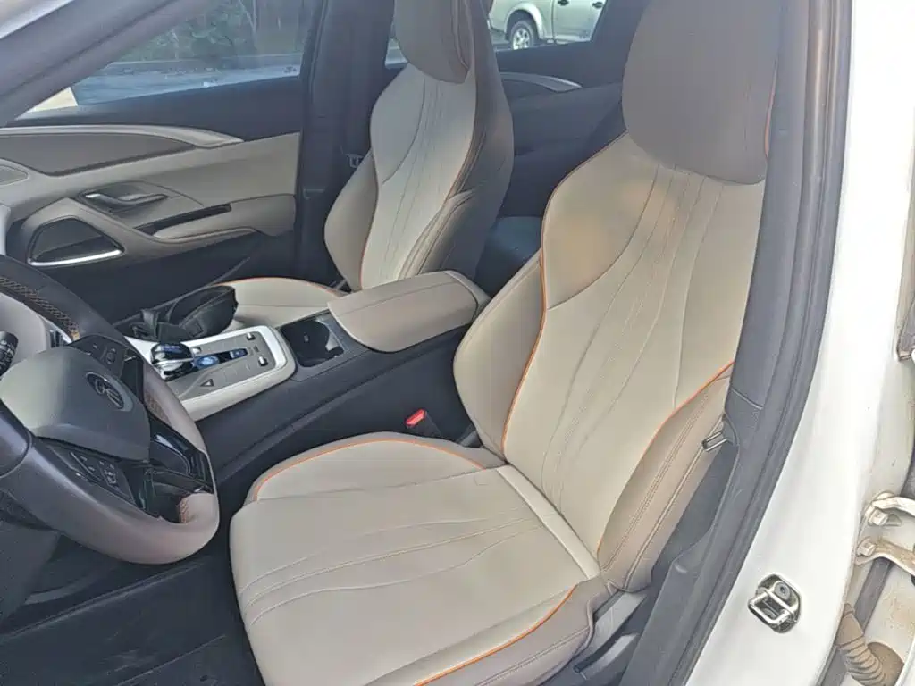 BYD Song Pro New Energy 2024 — фото 15