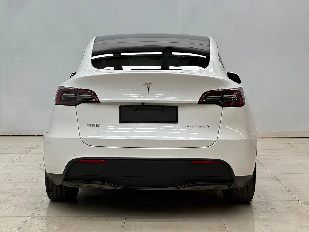 Tesla Model Y 2021 — фото 8