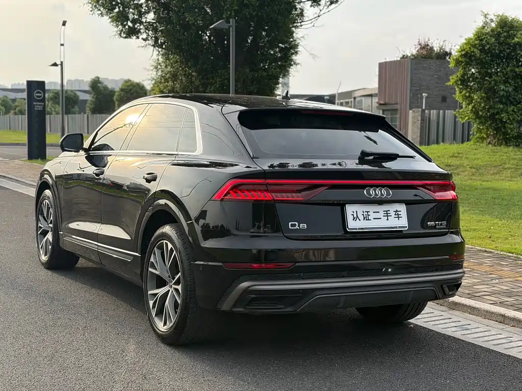 Audi Q8 2021 — фото 14