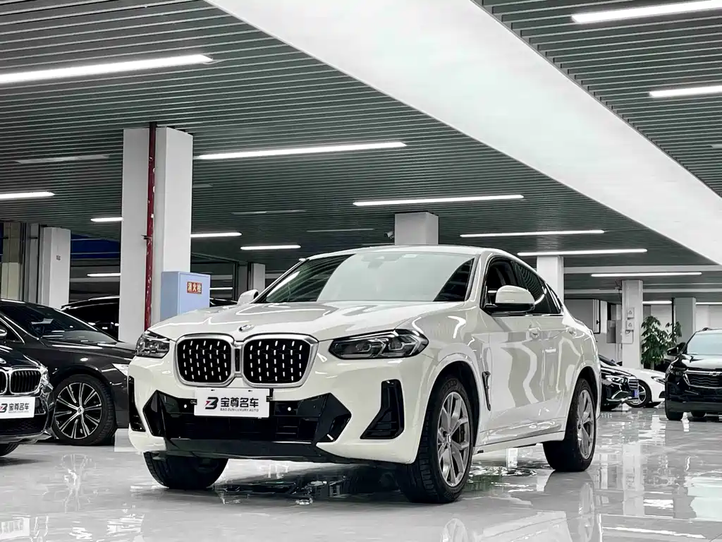 BMW X4 2021