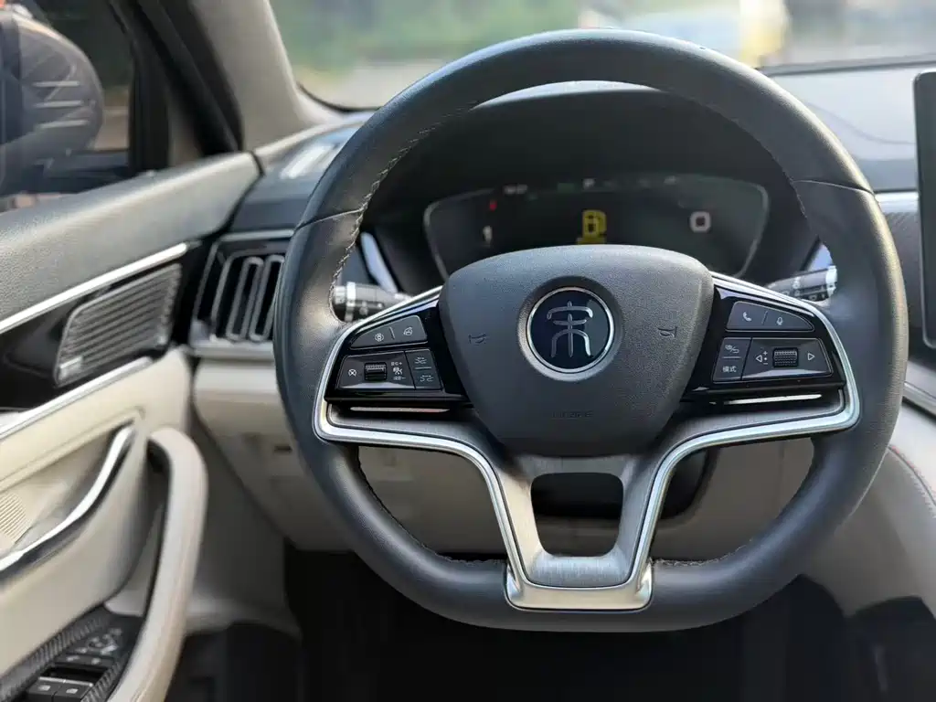 BYD PLUS New Energy 2022 — фото 12